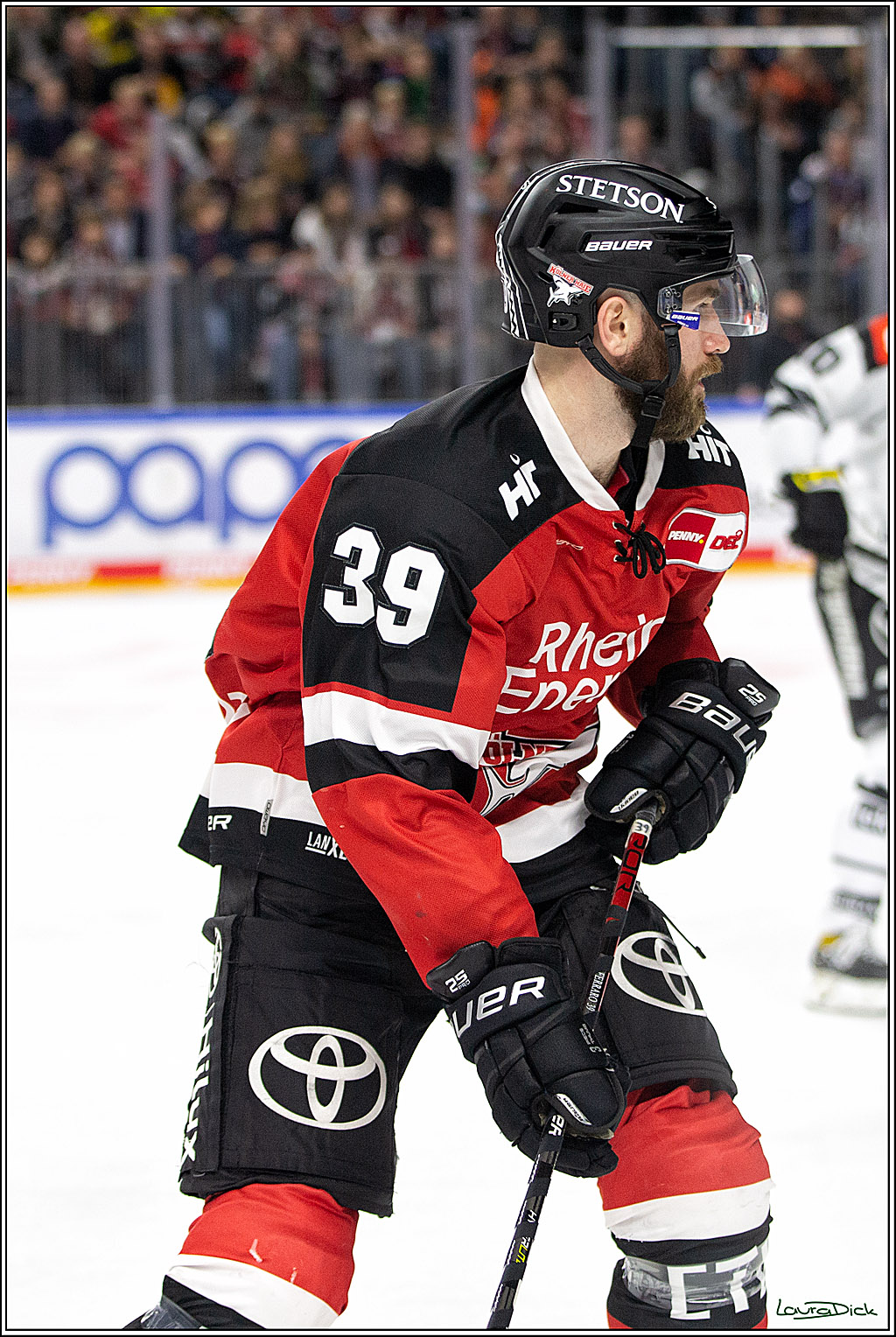 PENNY DEL;  Koelner Haie - Krefeld Pinguins; Koeln, 31.10.2021